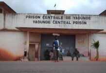 Pourquoi créer un comité de libération des prisonniers politiques Camerounais en France ?