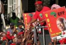 Afrique du Sud : Julius Malema, candidat controversé