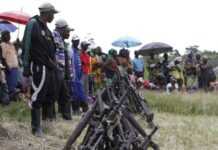 RDC : polémique autour du désarmement des FDLR