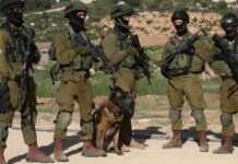 Opération militaire contre le Hamas : l’Egypte demande à Israël de la « retenue » Opération militaire contre le Hamas : l’Egypte demande à Israël de la « retenue »