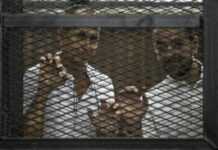Egypte : 7 à 10 ans de prison pour trois journalistes d’Al-Jazeera