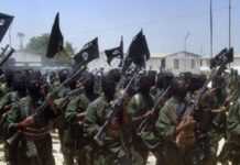 Somalie : un parlementaire tué par les shebab Somalie : un parlementaire tué par les shebab