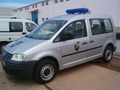 arton41541
