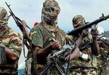 Boko Haram menace la sécurité des pays voisins du Nigeria, selon l’ONU