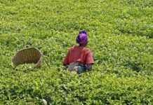 Plus de 410 millions d’Africains vivent toujours dans la pauvreté, selon l’ONU Plus de 410 millions d’Africains vivent toujours dans la pauvreté, selon l’ONU