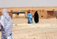Camps de Tindouf : des jeunes veulent intensifier leur « lutte » contre le Polisario