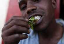 Un Ethiopien condamné en Chine pour trafic de khat