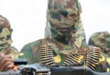 Cameroun : deux militaires abattus par Boko Haram
