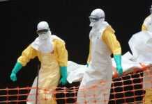 Les Etats-Unis touchés par le virus Ebola