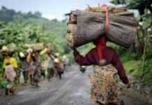 RDC : une famille de six personnes massacrées dans le Kivu RDC : une famille de six personnes massacrées dans le Kivu