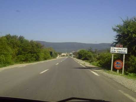arton42933