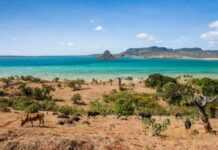 Madagascar menacé par le réchauffement climatique