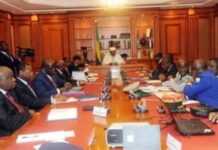 Gabon : Conseil présidentiel  sur la préservation du patrimoine naturel