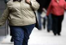 Quand l’obésité cause 481 000 cas de cancers par an !