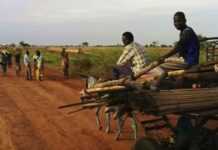 Soudan : plus de 100 morts dans des combats entre deux clans d’une tribu Soudan : plus de 100 morts dans des combats entre deux clans d’une tribu