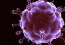 Lutte contre le Sida: le combat continue