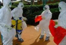 Ralentissement du virus Ebola en Afrique de l’Ouest