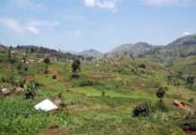 RDC : au moins 17 personnes tuées à la machette à Beni
