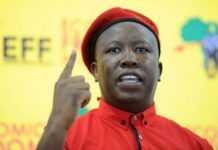 Afrique du Sud : Julius Malema joue au Robin des bois !