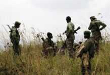 RDC : Kinshasa défie l’ONU et fait cavalier seul contre les rebelles du FDLR RDC : Kinshasa défie l’ONU et fait cavalier seul contre les rebelles du FDLR