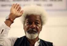 Nigeria-Boko Haram : Wolé Soyinka charge Goodluck Jonathan