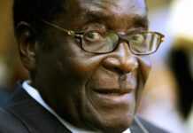 Buffet sauvage au Zimbabwe : viande de lion, d’antilope et d’éléphant pour fêter les 91 ans de Mugabe Buffet sauvage au Zimbabwe : viande de lion, d’antilope et d’éléphant pour fêter les 91 ans de Mugabe