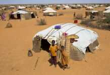 Niger: la population victime de Boko Haram dans la région de Diffa