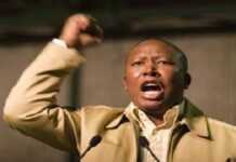 Afrique du Sud : Julius Malema, un agent de la CIA ? Afrique du Sud : Julius Malema, un agent de la CIA ?