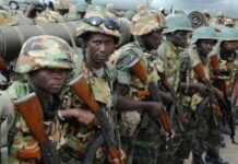 Cameroun : un stock d’armes de Boko Haram découvert à la frontière avec le Nigeria Cameroun : un stock d’armes de Boko Haram découvert à la frontière avec le Nigeria