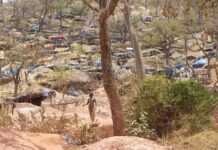 Sénégal : Kédougou, une région au potentiel gigantesque non exploité Sénégal : Kédougou, une région au potentiel gigantesque non exploité