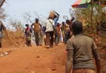 Dossier spécial : à la découverte de la région de Kédougou, au Sénégal oriental ! Dossier spécial : à la découverte de la région de Kédougou, au Sénégal oriental !