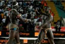 Lutte sénégalaise : Eumeu Sène bat Balla Gaye 2 Deux lutteurs