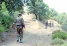 Algérie : quatre terroristes abattus par l’armée à Boumerdès Algérie : quatre terroristes abattus par l’armée à Boumerdès