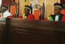 Quelle démocratie constitutionnelle pour le Mali ?