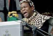 Le roi des Zoulous, Goodwill Zwelithini (DR)