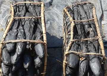 Poissons fumés attendent acheteurs sur le port d'Oyo