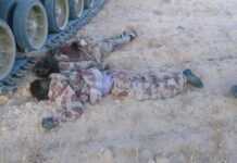 Egypte : 241 combattants et terroristes tués en cinq jours Egypte : 241 combattants et terroristes tués en cinq jours