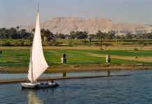 Egypte : une fête de fiançailles vire au drame, 21 morts Egypte : une fête de fiançailles vire au drame, 21 morts