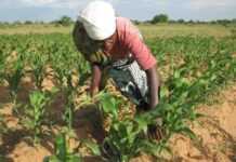 L’ONU prévoit d’éradiquer la pauvreté d’ici 2030 L’ONU prévoit d’éradiquer la pauvreté d’ici 2030