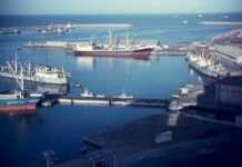 Libye : Benghazi sous la menace d’une épidémie Libye : Benghazi sous la menace d’une épidémie