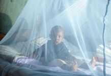 Baisse de 60% du taux de mortalité du paludisme en 15 ans Baisse de 60% du taux de mortalité du paludisme en 15 ans