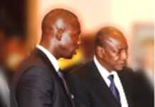 Guinée : le fils d’Alpha Condé dans le viseur de la justice française