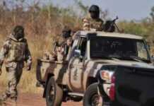 Mali : l’armée abat sept djihadistes dans la région de Mopti Mali : l’armée abat sept djihadistes dans la région de Mopti