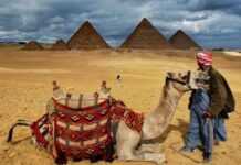 Le Crash en Egypte risque de coûter cher au tourisme