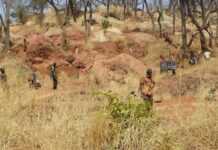 Tanzanie : cinq mineurs retrouvés vivants après avoir passé 41 jours sous terre !