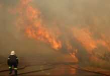 Afrique du Sud : des incendies ravagent plusieurs bidonvilles du Cap, au moins 9 morts Afrique du Sud : des incendies ravagent plusieurs bidonvilles du Cap, au moins 9 morts