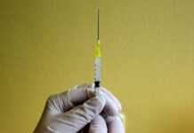 Angola : l’épidémie de fièvre jaune tue 51 personnes Angola : l’épidémie de fièvre jaune tue 51 personnes