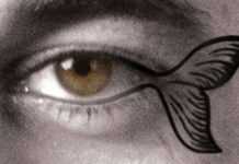 Karim Gharbi, une chanson française poétique et politique Karim Gharbi, une chanson française poétique et politique