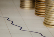 Afrique du Sud : Aidez les chômeurs ! Laissez-les juste travailler ! Afrique du Sud : Aidez les chômeurs ! Laissez-les juste travailler !