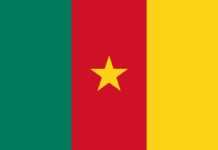 Drapeau du Cameroun